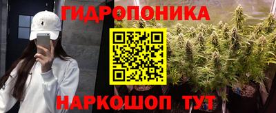 гашик Нягань