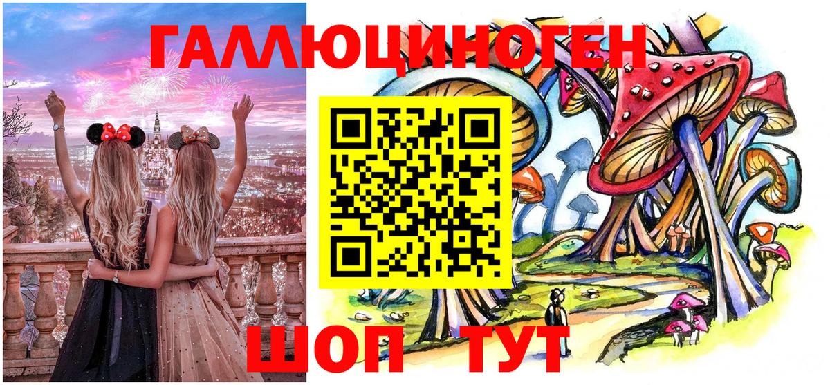Галлюциногенные грибы Psilocybe Обь